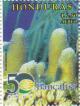 Colnect-3171-351-Pillar-Coral-Dendrogyra-cylindrus.jpg