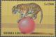 Colnect-4178-386-Tiger-Panthera-tigris-balancing-on-Ball.jpg
