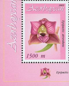 Stamp_of_Azerbaijan_697.jpg