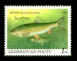 Stamp_of_Azerbaijan_195.jpg