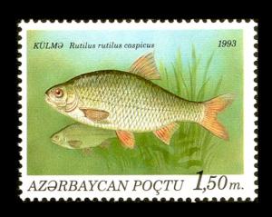 Stamp_of_Azerbaijan_196.jpg