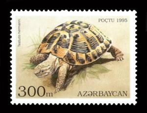 Stamp_of_Azerbaijan_326.jpg