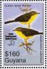 Colnect-4634-627-Golden-crowned-Warbler----Basileuterus-culicivorus.jpg