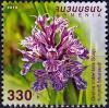 Colnect-3913-348-Orchis-tridentata.jpg