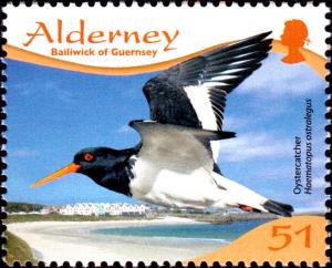 Colnect-5452-033-Eurasian-Oystercatcher-Haematopus-ostralegus.jpg