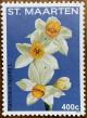 Colnect-5885-229-Narcissus-tazetta-l.jpg