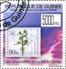 Colnect-3554-879-Orchids-on-Stamps.jpg
