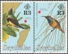 Colnect-1721-676-Souimanga-Sunbird-nbsp--and-Seychelles-Sunbird.jpg