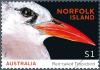 Colnect-3558-764-Red-tailed-Tropicbird-Phaethon-rubricauda-roseotincta.jpg