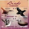 Colnect-3706-340-Birds-of-Montserrat.jpg