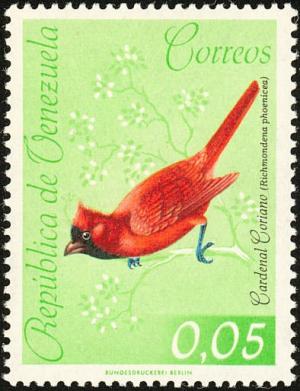 Colnect-2287-707-Vermilion-Cardinal-Cardinalis-phoeniceus.jpg