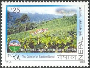 Colnect-550-408-Tea-Garden-of-Eastern-Nepal.jpg