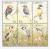 Colnect-1641-875-Birds---MiNo-2291-96.jpg