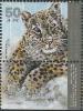 Colnect-2635-684-Persian-Leopard-Panthera-pardus-saxicolor.jpg