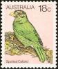 Colnect-5174-603-Green-Catbird-Ailuroedus-crassirostris.jpg