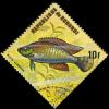Colnect-3269-498-Egyptian-Mouthbreeder-Haplochromis-multicolor.jpg