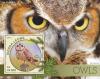 Colnect-3566-067-Short-eared-Owl---Asio-flammeus.jpg