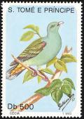 Colnect-2103-319-African-Green-Pigeon-Treron-calvus.jpg
