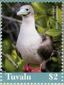 Colnect-6441-010-Red-footed-Booby.jpg