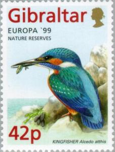 Colnect-120-949-Europa---99-Nature-reserves-Kingfisher-Alcedo-atthis.jpg