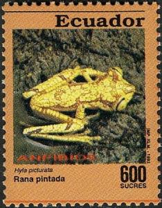 Colnect-2907-549-Chachi-Tree-Frog-Hyla-picturata.jpg