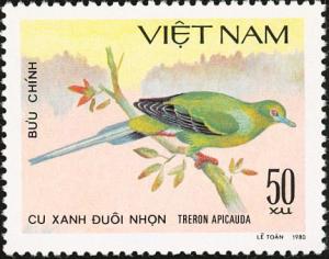 Colnect-1505-363-Pin-tailed-Green-pigeon-Treron-apicauda.jpg