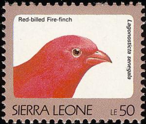 Colnect-1617-994-Red-billed-Firefinch-Lagonosticta-senegala.jpg