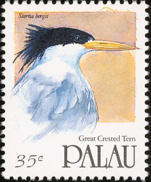 Colnect-1638-015-Greater-Crested-Tern-Sterna-bergii.jpg