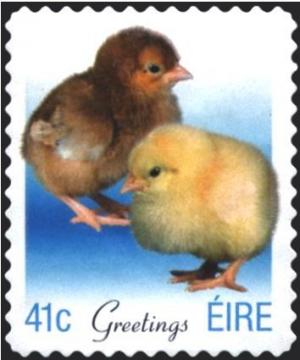 Colnect-1902-314-Greetings---Chicks.jpg