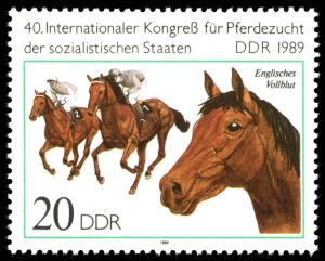 Colnect-1983-955-Thoroughbred-Equus-ferus-caballus.jpg