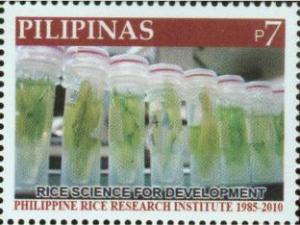 Colnect-2853-783-Philippine-Rice-Research-Institute---25th-anniv.jpg
