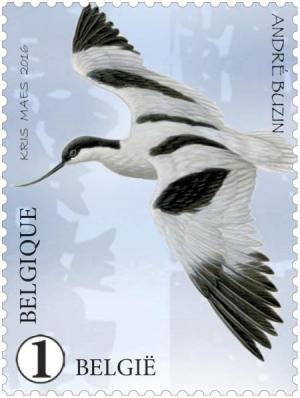 Colnect-3359-239-Avocet-Recurvirostra-avosetta.jpg