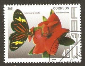 Colnect-4496-709-Butterfly-Lycorea-ceres-demeter-Helena-s-Blush-Euphorbia.jpg