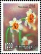 Colnect-4900-595-Chinese-sacred-lily-Narcissus-tazetta.jpg