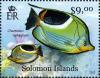 Colnect-2570-583-Saddle-Butterflyfish-Chaetodon-ephippium.jpg