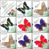 Colnect-2613-188-Butterflies-and-Moths-III.jpg