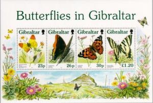 Colnect-120-854-Butterflies-in-Gibraltar.jpg