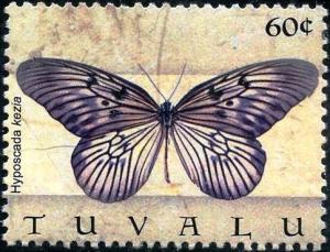 Colnect-3500-474-Butterfly-Hyposcada-kezia.jpg