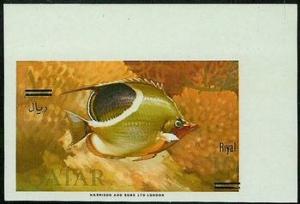 Colnect-5492-155-Saddle-Butterflyfish-Chaetodon-ephippium.jpg