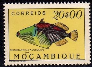 Colnect-595-008-Lagoon-Triggerfish-Rhinecantus-aculeatus.jpg