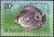 Colnect-859-512-Four-eyed-Butterflyfish-Chaetodon-capistratus.jpg