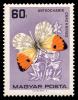 1727-Butterflies_60.jpg