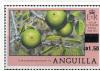 Colnect-1584-375-Surcharged-Manchineel-fruit.jpg