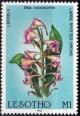 Colnect-3094-389-Large-spotted-orchid.jpg