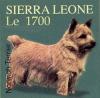 Colnect-1683-139-Norwich-Terrier-Canis-lupus-familiaris.jpg