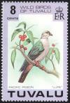 Colnect-1767-940-Pacific-Imperial-pigeon-Ducula-pacifica.jpg