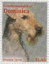 Colnect-3276-982-Airedale-Terrier-Canis-lupus-familiaris.jpg