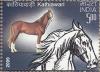 Colnect-545-431-Kathiawari-Equus-ferus-caballus.jpg