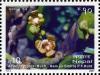 Colnect-551-395-Orchids---Acampe-rigida-Buch-Ham-ex-Smith-PFHunt.jpg
