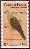 Colnect-900-252-Pacific-Imperial-pigeon-Ducula-pacifica.jpg